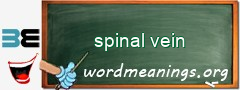 WordMeaning blackboard for spinal vein